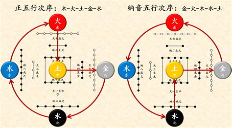 音五行|音的五行